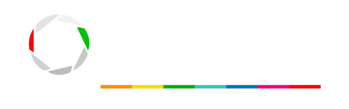 Logo Dedem